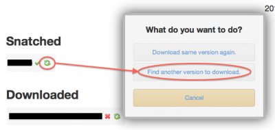 Couch Potato - Retry with a different download