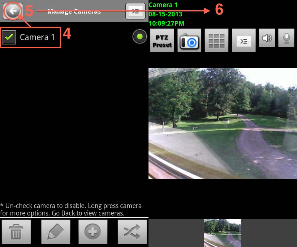 ip camera browser viewer