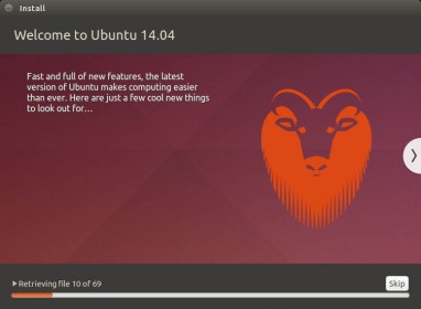 Ubuntu Setup - Installing ....