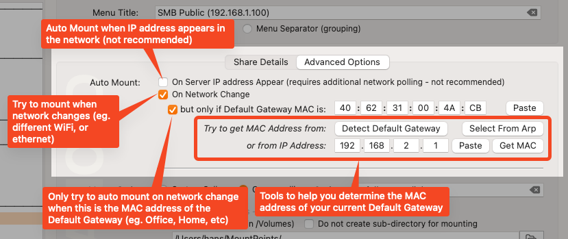 Raycast Store: Dig - DNS Lookup