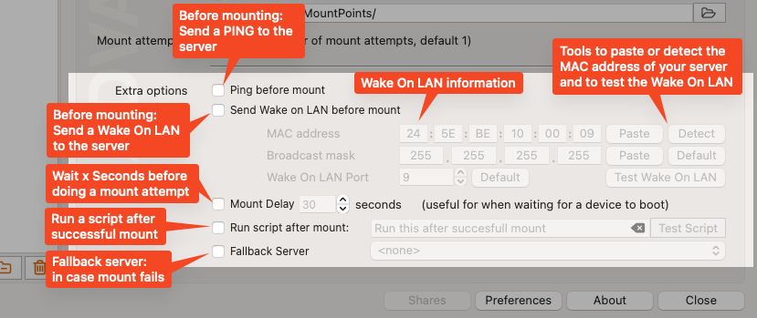 Raycast Store: Dig - DNS Lookup